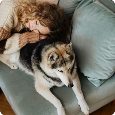 Woman sleeping on her dog on the couch – financial peace from reducing mortgage in Bonsai AI financial planning app